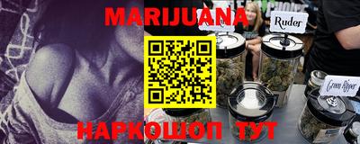 Альфа ПВП Малгобек